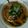 Rikabonママ's cooksnap of when they made 豆腐ハンバーグ揚げ出し風.