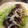 クックBBBA☆'s cooksnap of when they made 新玉と鰹のたたきサラダ.