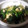 クックW0QY9S☆'s cooksnap of when they made ほうれん草と卵の炒め物.