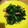クック6SIDMV☆'s cooksnap of when they made 簡単！ほうれん草とウィンナー炒め.
