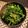 クックmariri's cooksnap of when they made 春の味、白菜の菜花の中華風和え物.