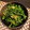 クックmariri's cooksnap of when they made 春の味、白菜の菜花の中華風和え物.