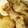 miikannnn's cooksnap of when they made 手羽元と大根の煮物.