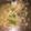 クック03OC4P☆'s cooksnap of when they made 春の味♪菜の花と新玉ねぎのサラダ.