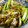 低カロ探検隊's cooksnap of when they made 簡単！お野菜もたっぷり摂れるさば味噌炒め.