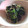 ♡りりたん♡'s cooksnap of when they made とろろ昆布合う！ほうれん草と水菜のナムル.