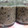 さとみトミ's cooksnap of when they made 大好き黒豆で黒豆味噌( *´艸｀).