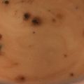 ＊にょにょん＊'s cooksnap of when they made 焼酎ｉｎ珈琲豆乳.