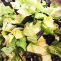 yabunoyume's cooksnap of when they made レタスと海苔だけで美味しいサラダ♪.