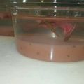 やの0414's cooksnap of when they made 桜あんの水ようかん.