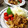広野のタイタン's cooksnap of when they made Ｗ生姜で旨い！豚こまの生姜焼き♪.