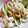 ぶどうなすび's cooksnap of when they made きゅうり、ちくわ簡単マヨ.