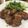 ゆいランラン's cooksnap of when they made 豚ヒレ肉のソース焼き♪.