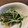 たねmama's cooksnap of when they made 黒ごまもやしほうれん草中華風.