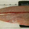 ツリイチロー's cooksnap of when they made ヒラマサ（ヒラス）のさばき方.