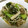 ハナレ's cooksnap of when they made きのこと小松菜のツナ炒め.