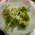 ねこつぐら's cooksnap of when they made サックサク！ふきのとう天ぷら☆.