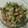 あーいーりー's cooksnap of when they made きゅうりと鶏ささみの梅肉ゆかり和え.