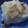 みおまーま's cooksnap of when they made ◎大根の薄切りと豚バラの蒸し煮.