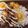 クックS0T25H☆'s cooksnap of when they made ミツカン黒酢でカフェ風テリマヨ丼.