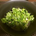 through111's cooksnap of when they made 〇パクチー好き必見！！超カンタン蒸し鶏〇.