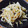 コタジロウ's cooksnap of when they made ふりかけ＋もやし＝簡単和え.
