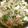 卵せんべい's cooksnap of when they made 豚ニラもやし.