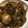 ルナＰボール's cooksnap of when they made 簡単で失敗無しの肉そぼろ入りキンピラ.