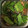 nishimo's cooksnap of when they made 我が家のお弁当☆ササッと絹さや炒め.