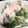 kurumicook's cooksnap of when they made ブロッコリー たらこマヨ和え.