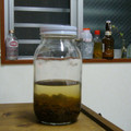 オテモヤン's cooksnap of when they made 自家製酵母を作ろう！　りんご編.