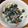 お前の母ちゃん何人だ's cooksnap of when they made わかめのおかかマヨ和え.