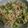 クックANLLO1☆'s cooksnap of when they made 簡単☆納豆と絹さやの卵チャーハン.
