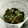 bigflowers's cooksnap of when they made [１０分Cook]簡単！イリコのふりかけ.