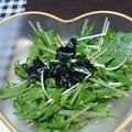 なおつん0802's cooksnap of when they made 簡単！水菜のちょい辛チョレギサラダ.