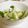 かすてら１２'s cooksnap of when they made 塩麹で漬け物.