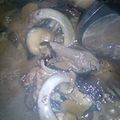 nocoっち's cooksnap of when they made マグロ目玉の煮付け.