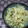 みがつくひと's cooksnap of when they made しらたきと高菜の炒め物.