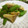 solapapa's cooksnap of when they made エリンギと絹さやのにんにく塩バター炒め.