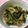 べーなー。's cooksnap of when they made 小松菜シメジとシーチキンの醤油炒め.