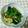 ＊れいぴん＊'s cooksnap of when they made モズク酢といろいろ野菜のサラダ♪.