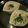 ぴかりゅう☆'s cooksnap of when they made どんぶりde茶碗蒸し.