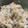 さい♪♪'s cooksnap of when they made 簡単！春野菜とあさりの炊き込みご飯.