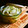 kebeibiko's cooksnap of when they made 新玉ねぎと実山椒のピクルス.