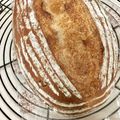 るなぎっちまま's cooksnap of when they made ライ麦と胡桃のカンパーニュ.