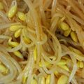 かき太郎's cooksnap of when they made 【超簡単】ピリ辛もやしのナムル.