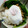 クックKJBQZ3☆'s cooksnap of when they made 簡単時短!!鶏挽き肉のタイ風ガパオ炒め.