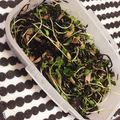 さくらん餅's cooksnap of when they made たくさん食べよう！ひじきと貝割れのサラダ.