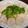 akayumix's cooksnap of when they made 簡単鳥ハム☆時短鳥ハム.