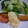 ふれんちぶるどっく's cooksnap of when they made 簡単♪鮭のムニエルでタルタルソース.